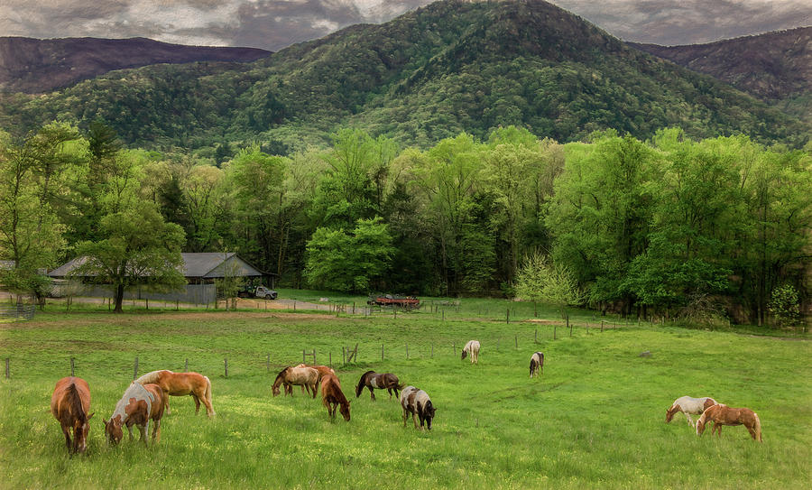 Peace in the Smokies, Painterly Photograph by Marcy Wielfaert
