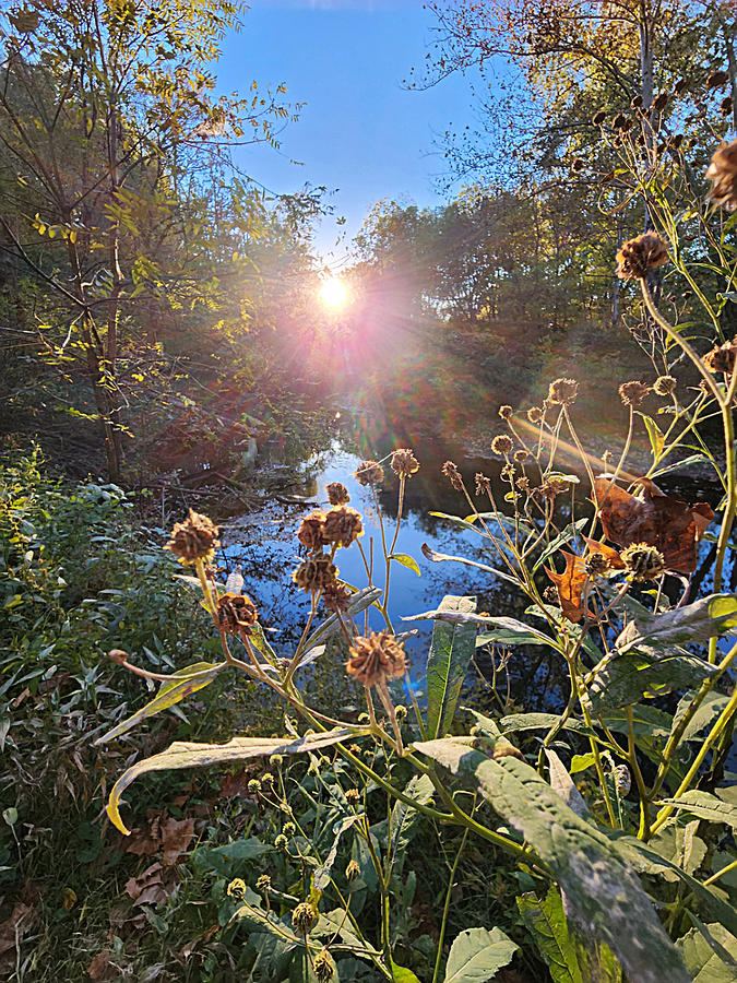 Peace In The Valley Photograph by Angel Murrell Fine Art America