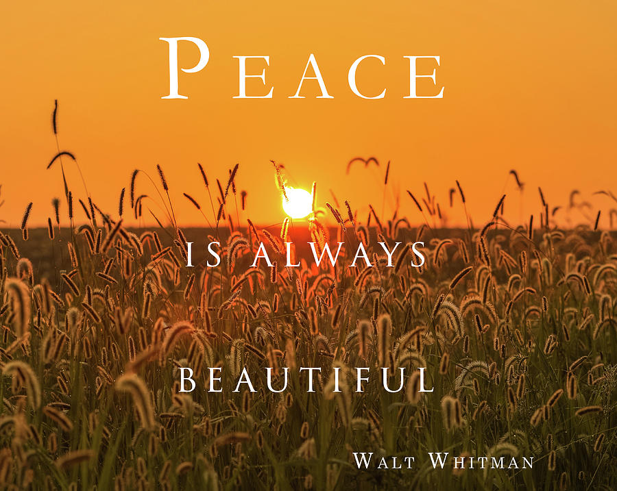 Peace Is Always Beautiful Quote Photograph by Dan Sproul