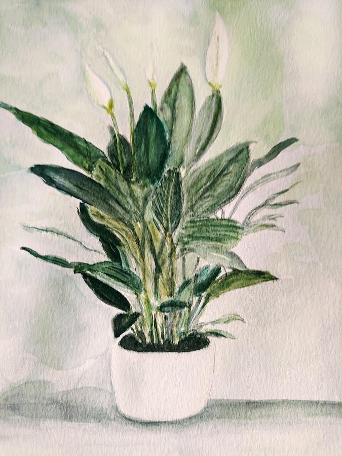 Peace Lilly Plant Painting by Christine Ritter - Fine Art America