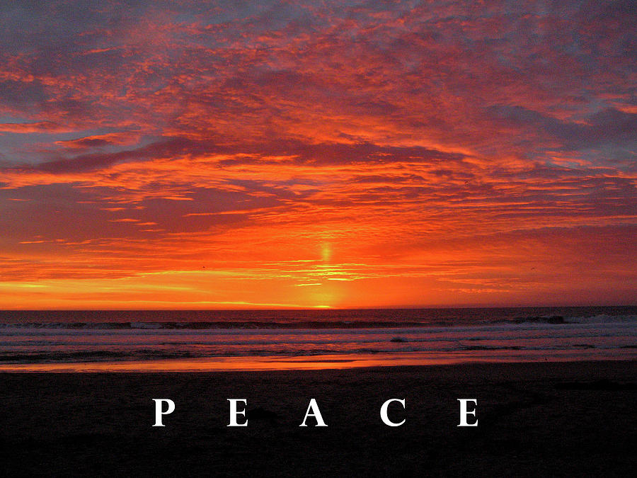 Peace Photograph by Lorena Cassady