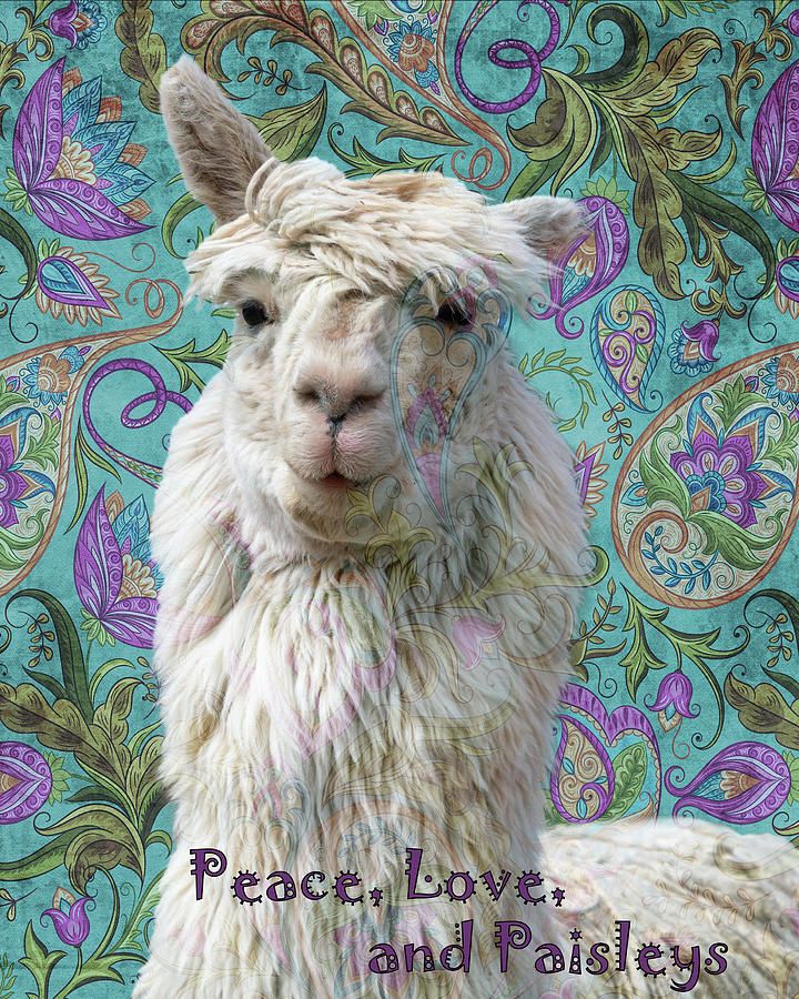 Peace, Love and Paisleys w/text Photograph by Mary Hone
