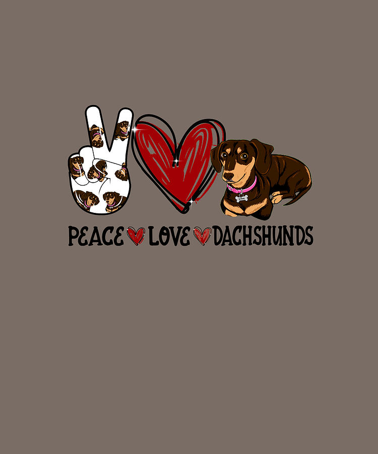 are dachshunds loving