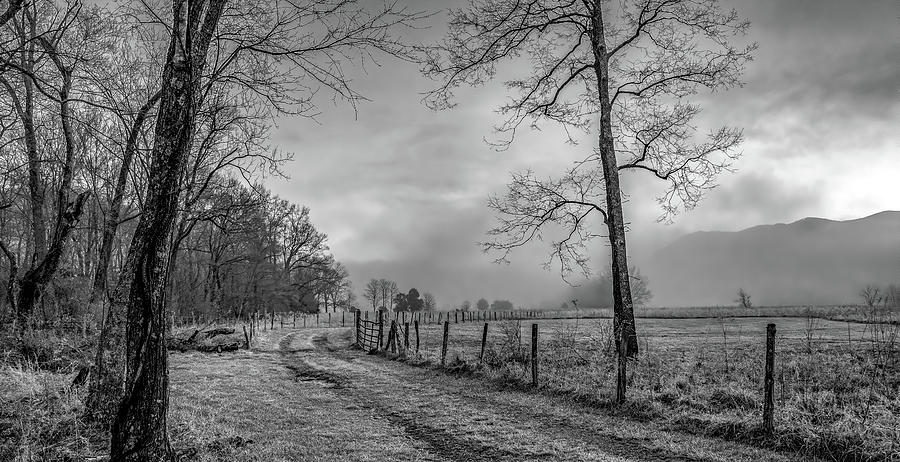 Peace on a Winter Morning, Black and White Photograph by Marcy Wielfaert