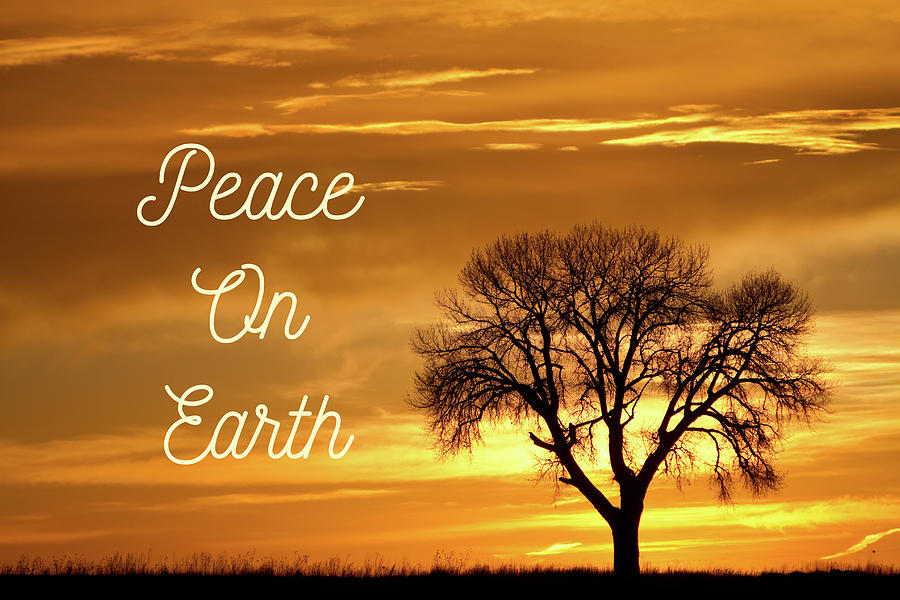 Peace On Earth Photograph by James BO Insogna