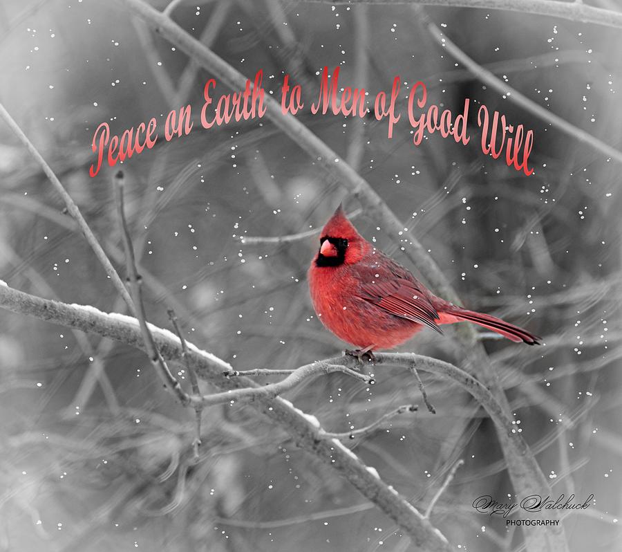 Peace on Earth Photograph by Mary Walchuck