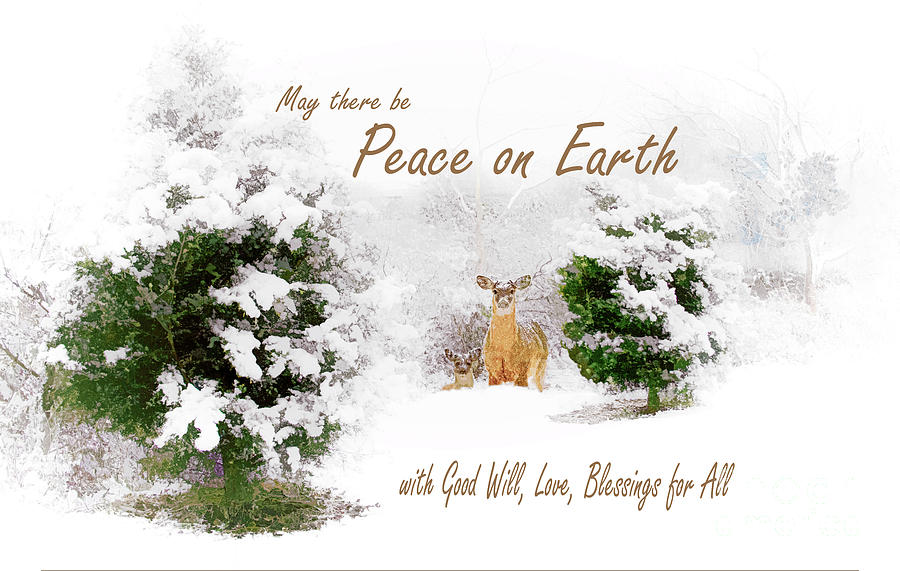 Peace on Earth Nature Card Photograph by Regina Geoghan