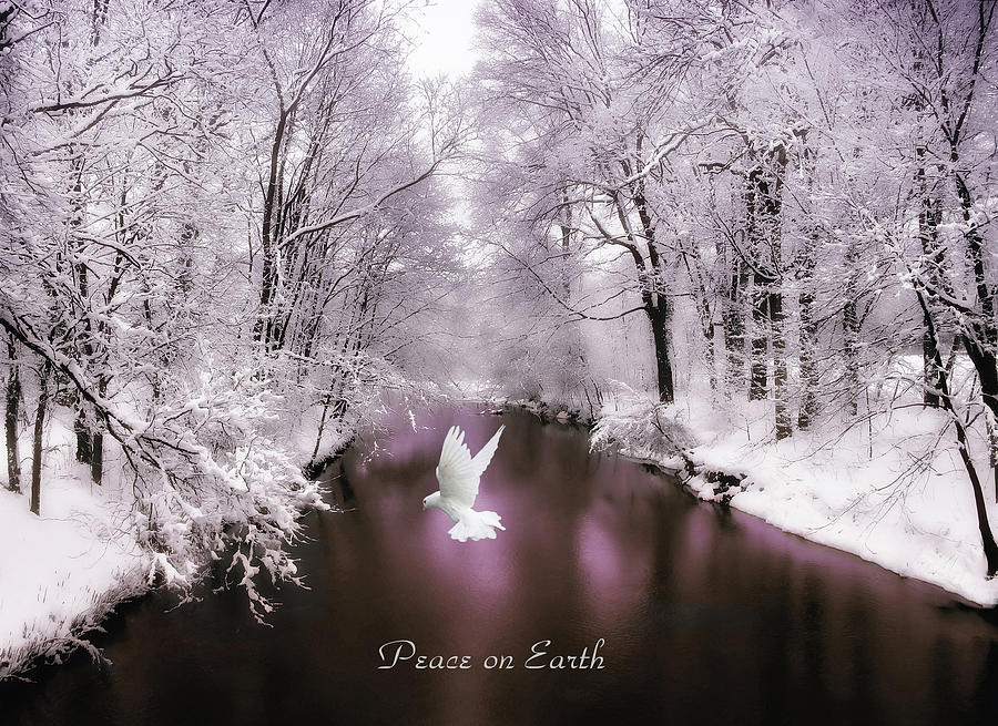 Peace on Earth with text Photograph by Jessica Jenney