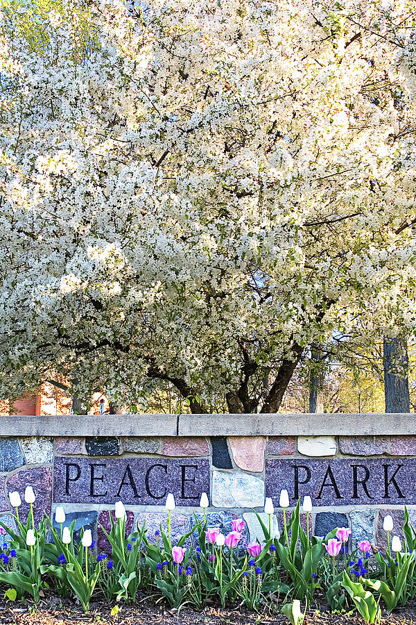 Peace Park 1 Photograph by Jill Love