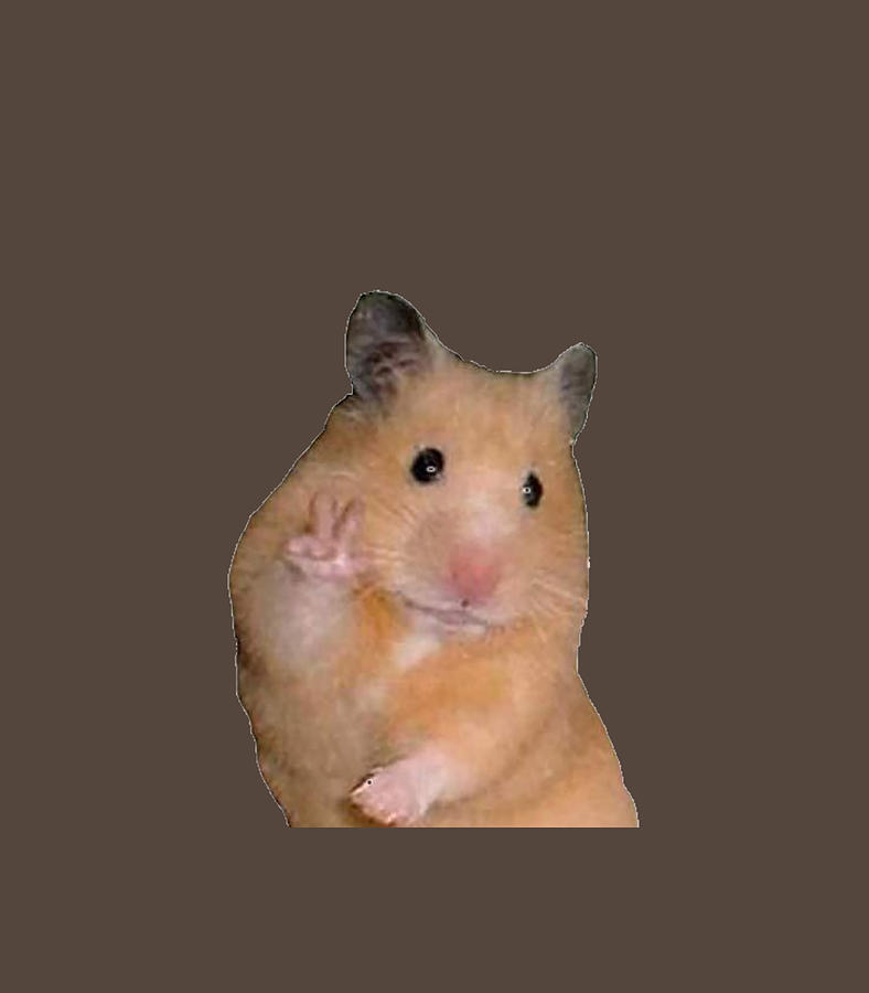 Peace Sign Hamster Meme Digital Art by Yordan Amera - Pixels