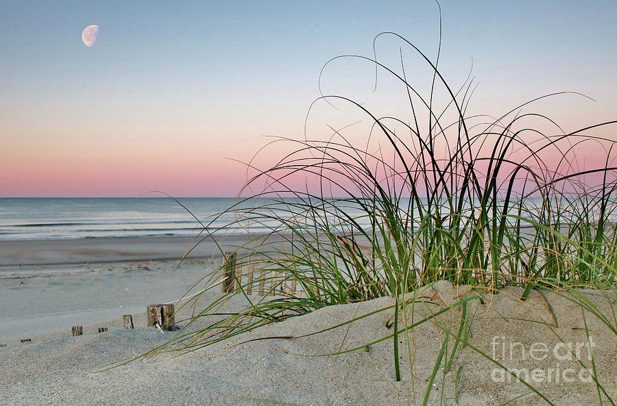 Beach Photograph - Peace by Terrah Hewett