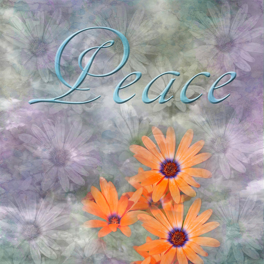 Peace with Daisy Background Photograph by Aimee L Maher ALM GALLERY