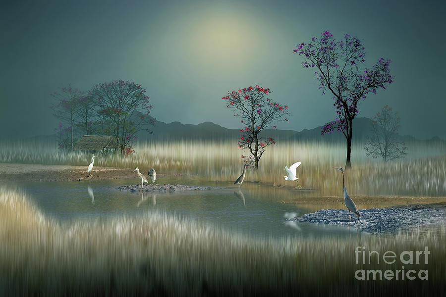 Peaceful Atmosphere On A Dream Land Photograph by Idrus Ids