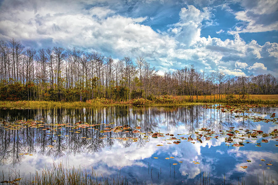 Peaceful Autumn Reflections on the Everglades Photograph by Debra and Dave Vanderlaan