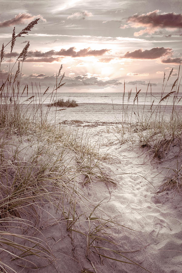 Peaceful Beach Dunes at the Cottage Photograph by Debra and Dave Vanderlaan