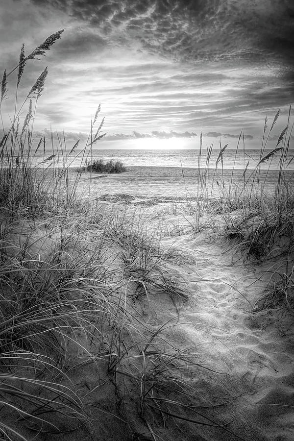 Peaceful Beach Dunes Black and White Photograph by Debra and Dave ...