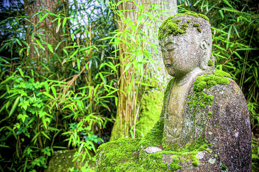 Peaceful Buddha in Nikkos Forest, Japan Photograph by Lie Yim