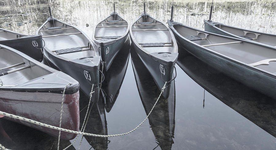 Peaceful Canoes at the Dock Photograph by Debra and Dave Vanderlaan