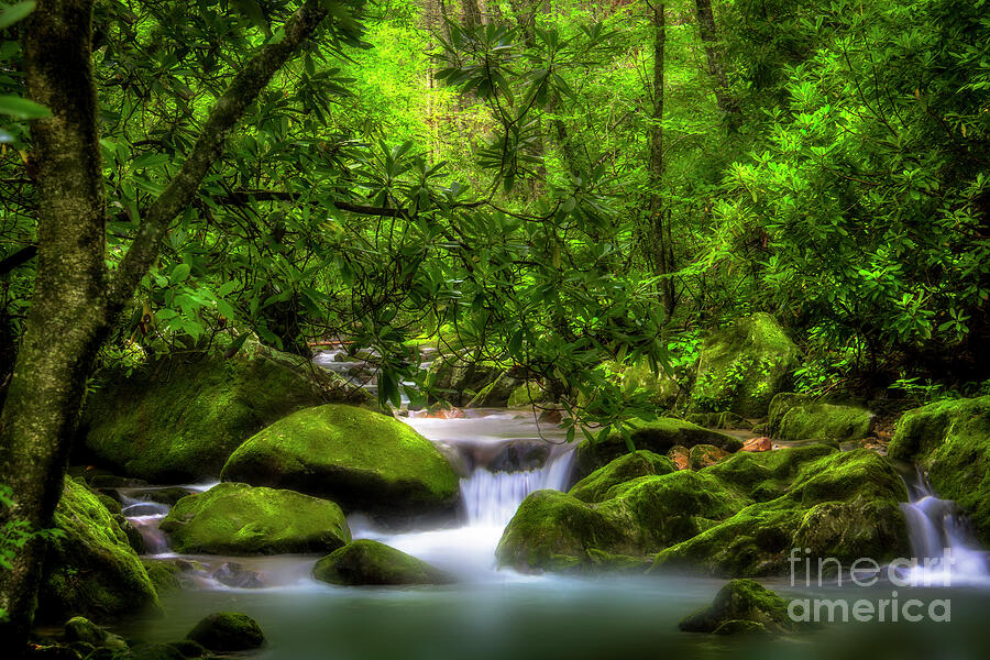 Peaceful Cascades in the Forest Photograph by Shelia Hunt