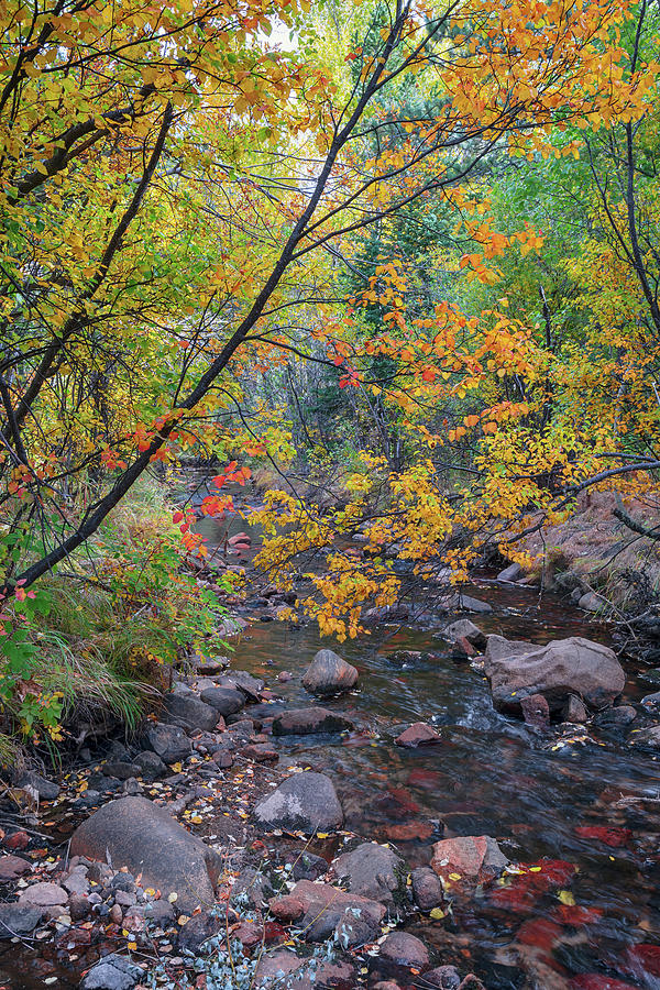 Peaceful Colorful Left Hand Creek Photograph by James BO Insogna