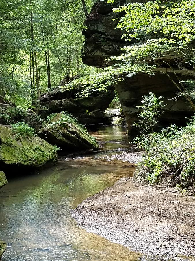 Peaceful Creek Photograph by Sandra Smith - Fine Art America