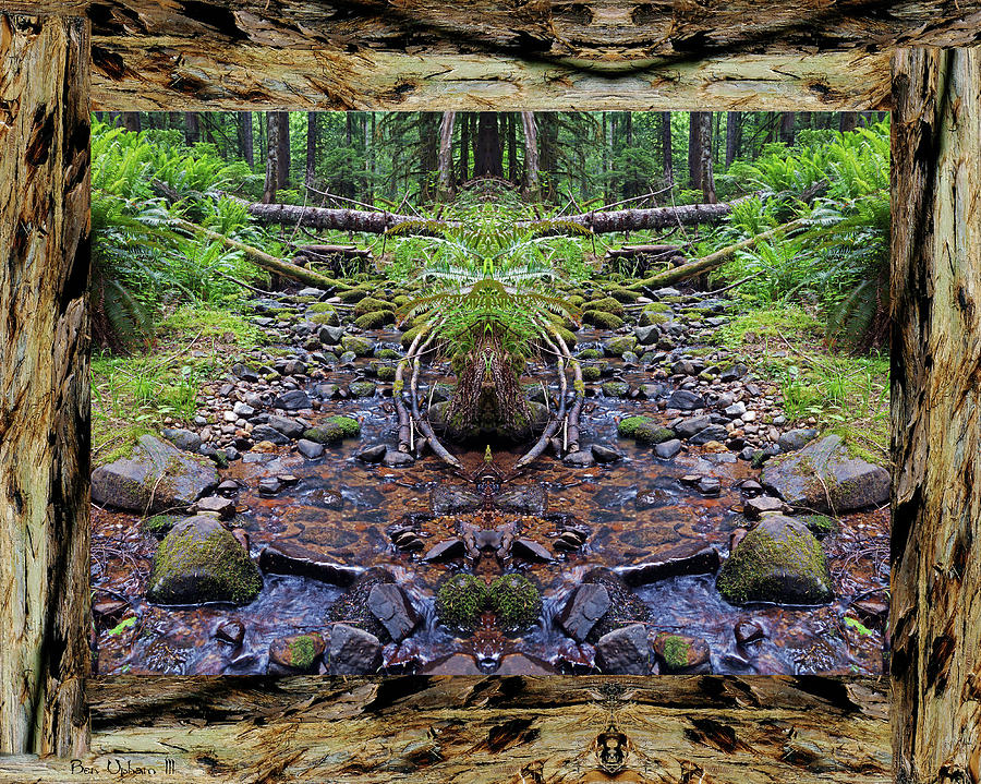 Peaceful Creek Vibrations in a Redwood Bark Frame Photograph by Ben Upham III