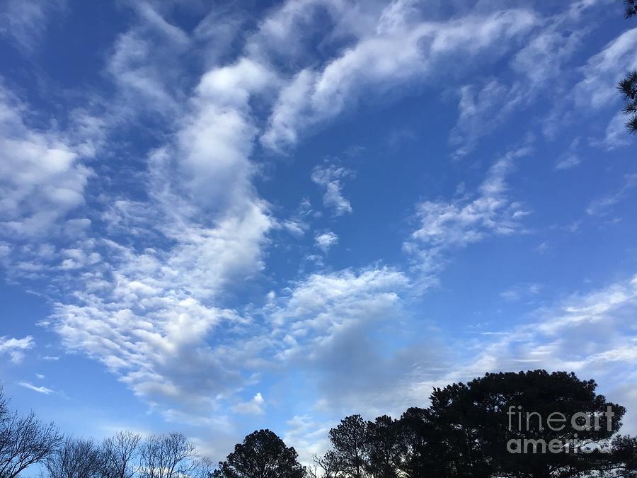 Peaceful  Day Clouds Photograph by Catherine Wilson