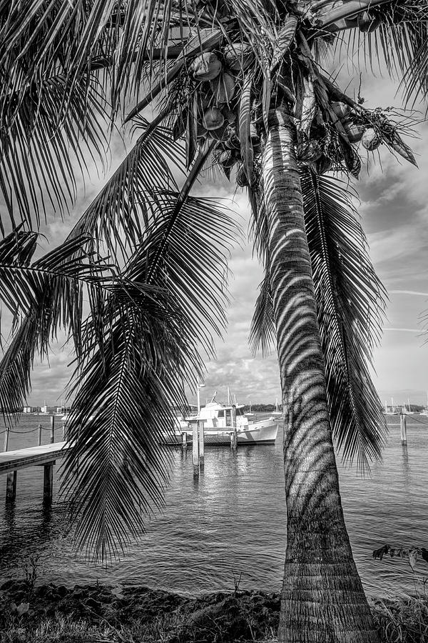 Peaceful Docks in Black and White Photograph by Debra and Dave Vanderlaan
