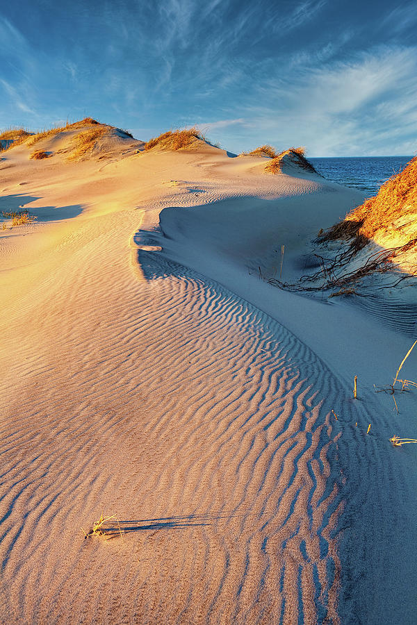 Peaceful Dune Sunset Photograph by Dan Carmichael
