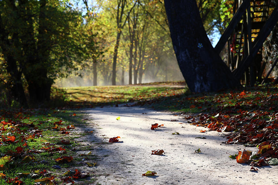 Peaceful Fall Photograph by Alex Naper Peaceful Fall Photograph by Alex Naper