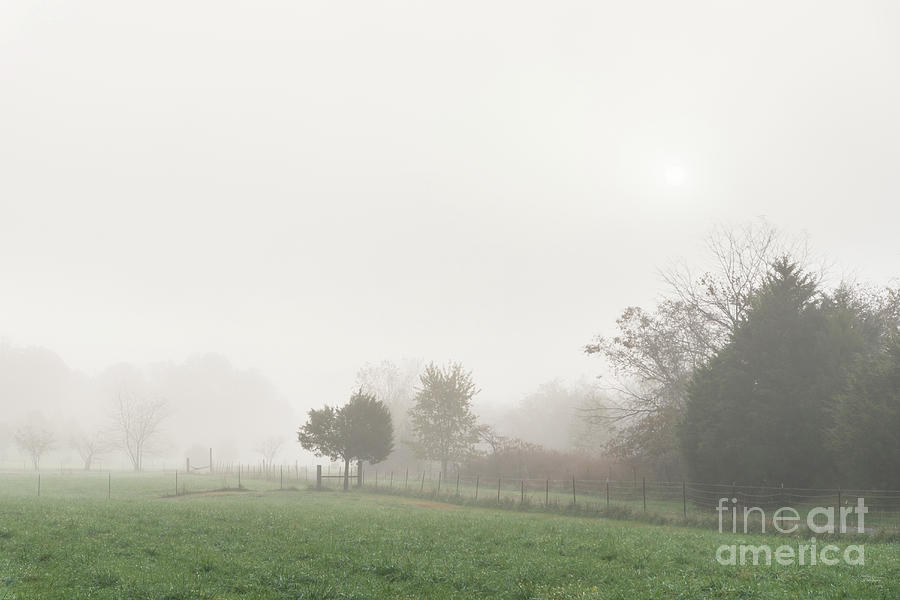 Peaceful Foggy Countryside Photograph by Jennifer White