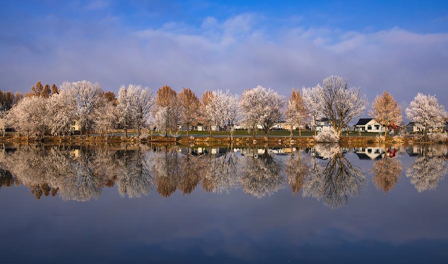 Peaceful Frosty Morning Photograph by Lynn Hopwood