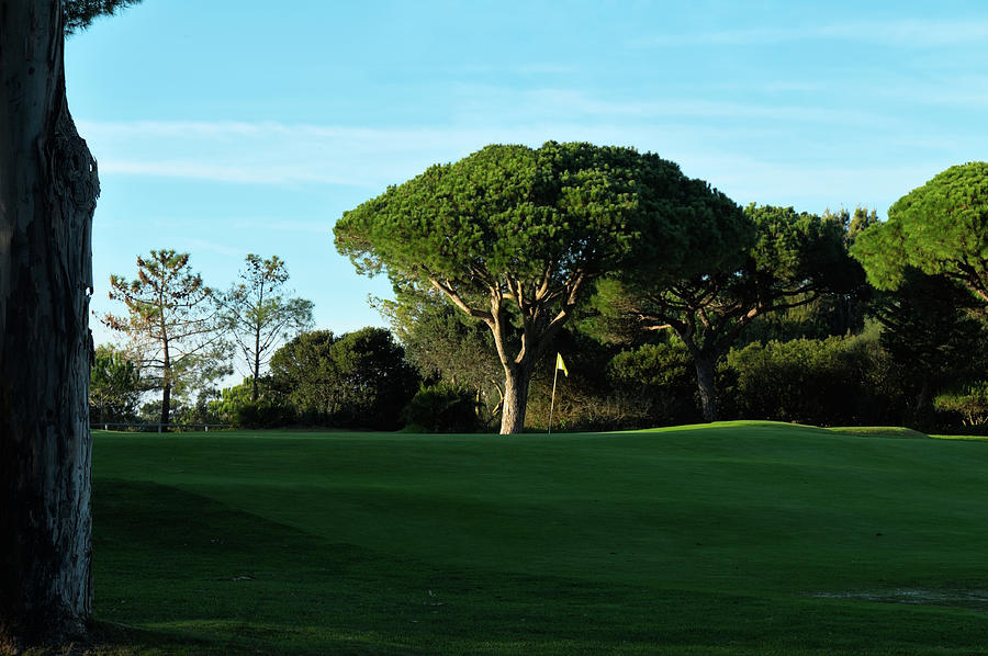 Peaceful Golf Course in Quinta do Lago Photograph by Angelo DeVal