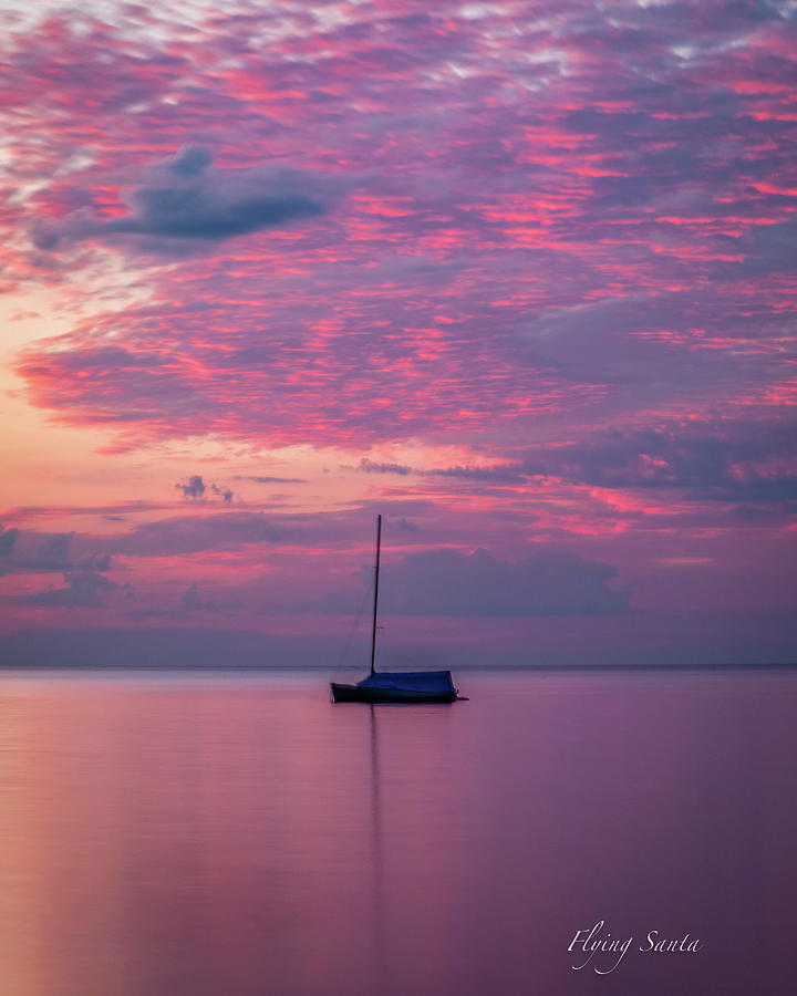 Peaceful in Pink Photograph by William Bretton