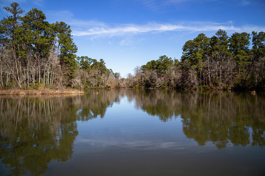 Lake at Barnwell State Park Photograph by Cindy Robinson