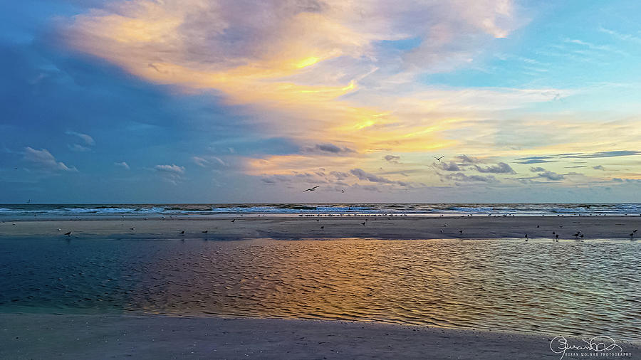 Peaceful Lido Sunset Photograph by Susan Molnar