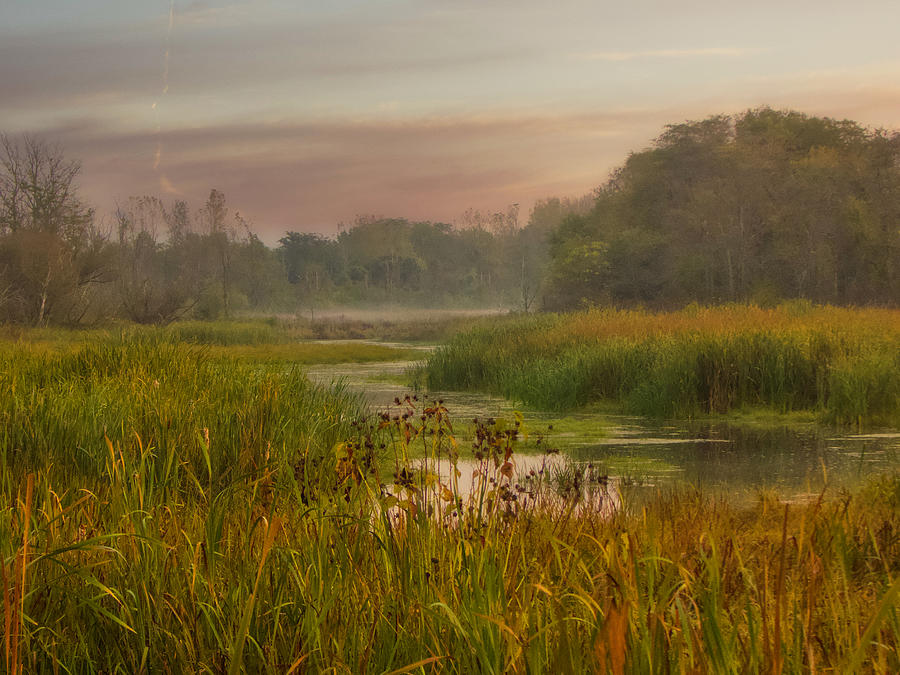 Peaceful Marsh Morning Photograph by Jack Wilson