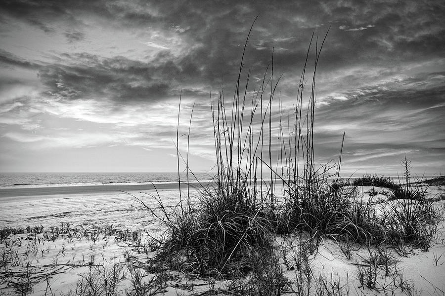 Peaceful Moments at Sunset in Black and White Photograph by Debra and ...