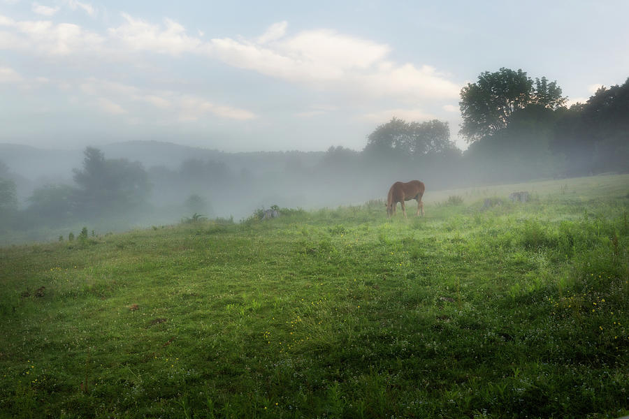 Peaceful Morning in the Valley Photograph by Bill Wakeley