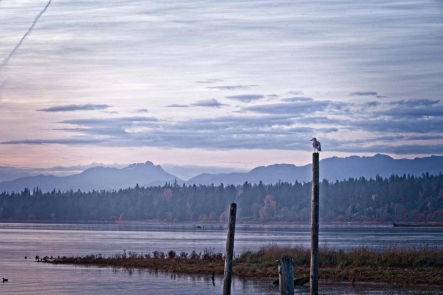 Peaceful Morning On The Estuary Photograph by Chuck Burdick