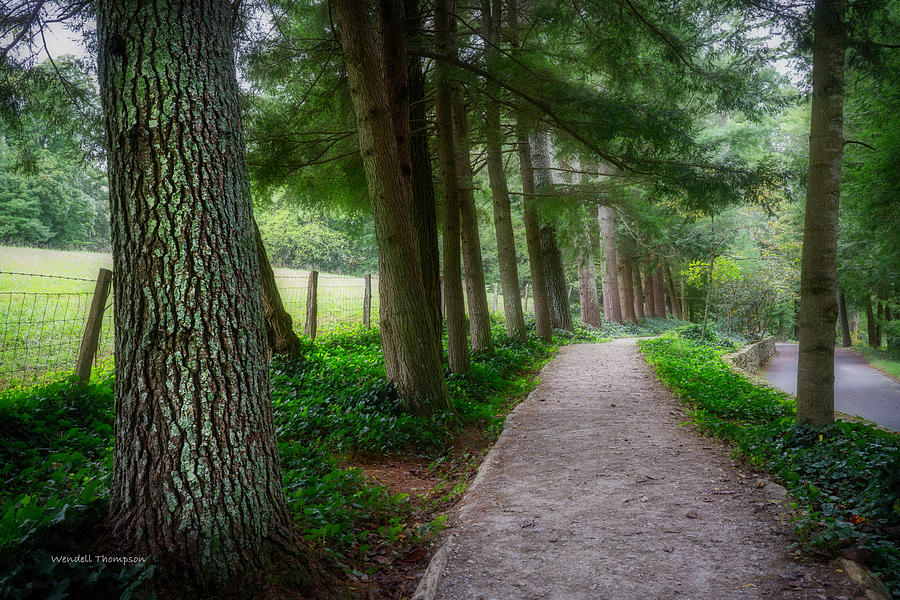 Peaceful Pathway Photograph by Wendell Thompson