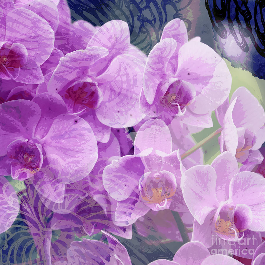 Peaceful Purple Orchids Floral Digital Art Photograph by Carol Groenen