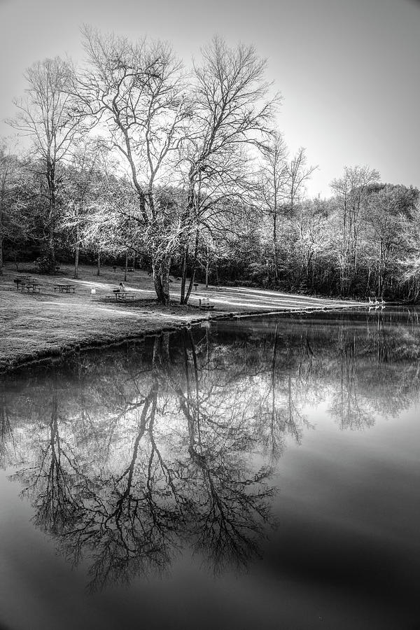 Peaceful Reflections in Black and White Photograph by Debra and Dave Vanderlaan