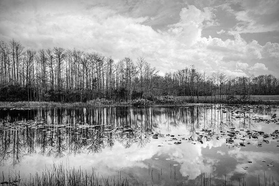 Peaceful Reflections on the Everglades in Black and White Photograph by Debra and Dave Vanderlaan