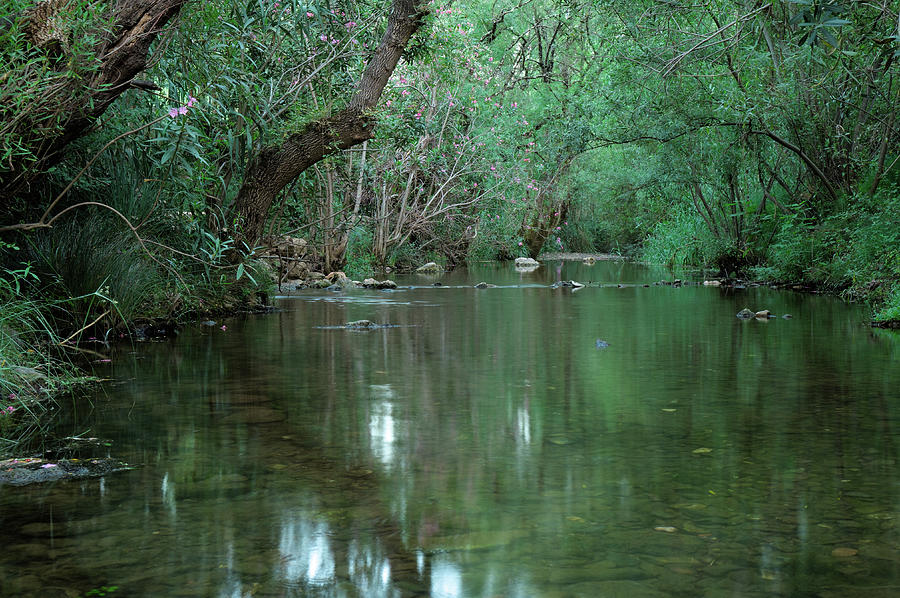 Peaceful River in Fonte da Benemola Photograph by Angelo DeVal