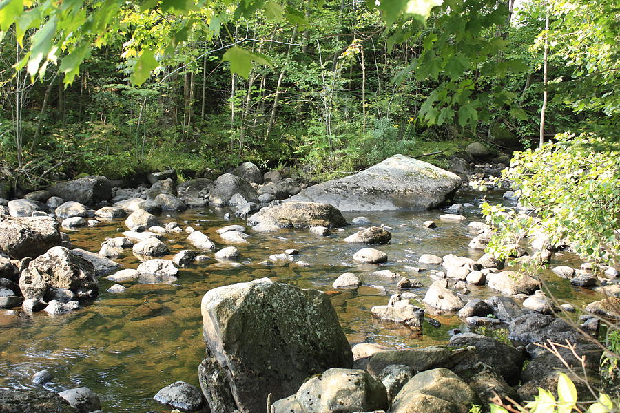 Peaceful River Rocks  Photograph by Ann Murphy