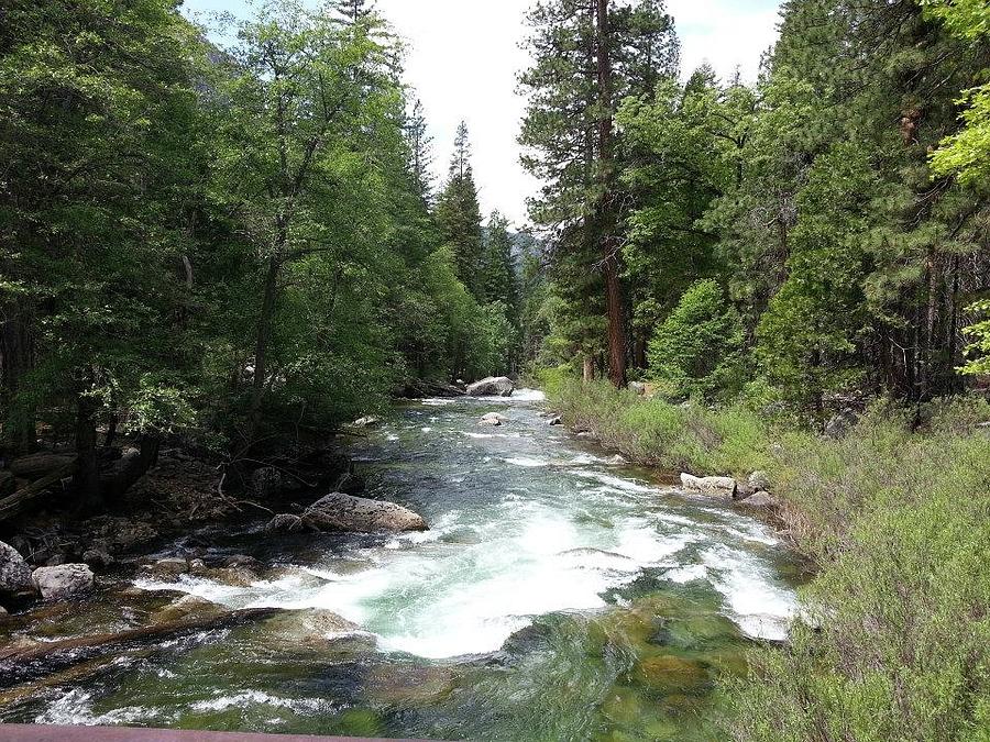 Peaceful Riverside Photograph by Jessica Reker - Fine Art America