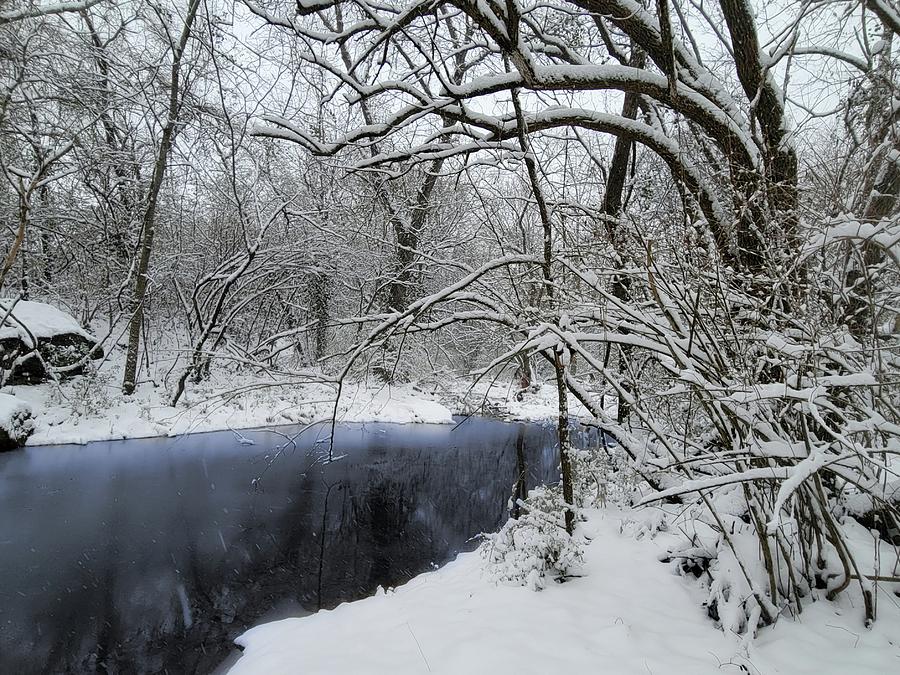 Peaceful Snowy Creek  Photograph by Ally White