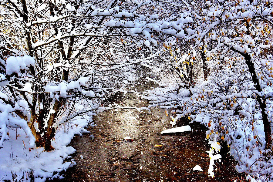 Peaceful Snowy River Photograph by Elijah Rael