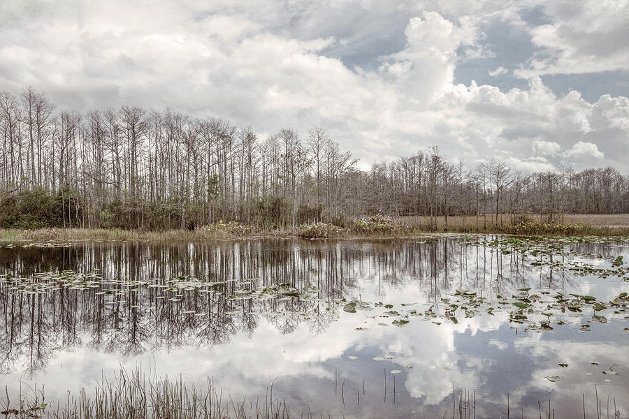 Peaceful Soft Reflections on the Everglades Photograph by Debra and Dave Vanderlaan